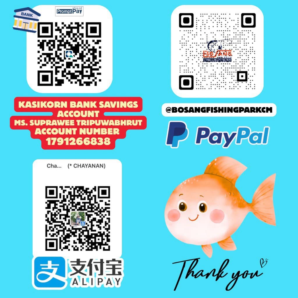 Payment QR codes